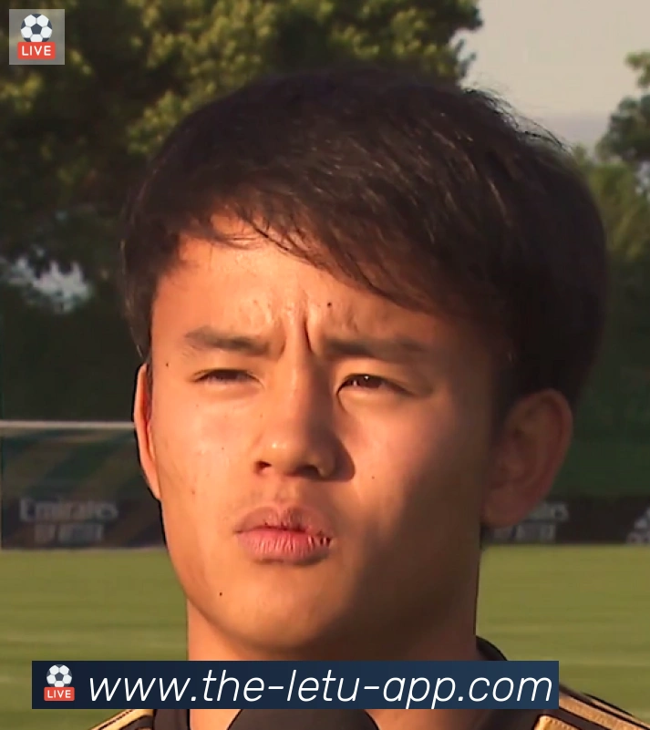维尼修斯